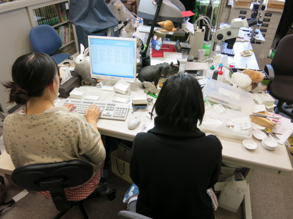 f:id:dantyutei:20131107160457j:image f:id:dantyutei:20131107160457j:image
