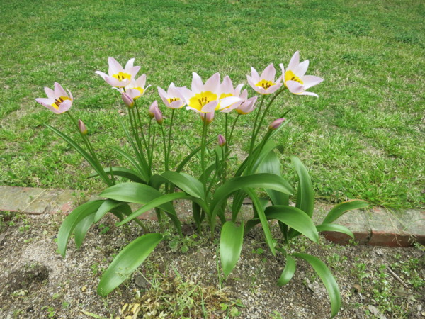 f:id:dantyutei:20140403133956j:plain f:id:dantyutei:20140403133956j:plain