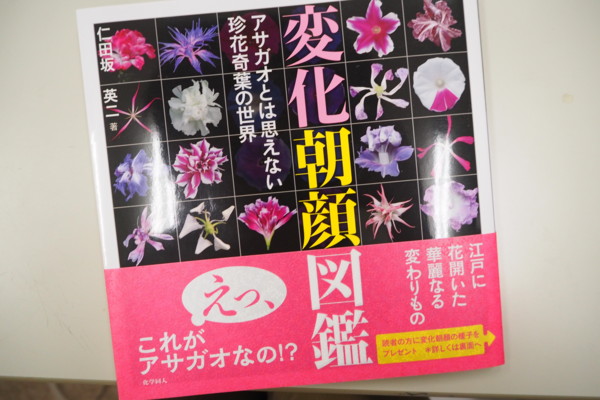 f:id:dantyutei:20140724181642j:plain f:id:dantyutei:20140724181642j:plain