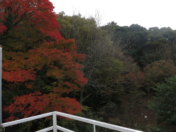 f:id:dantyutei:20141119125058j:plain