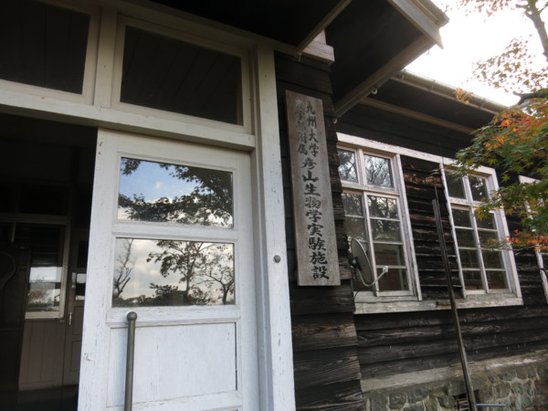 f:id:dantyutei:20141119133347j:plain