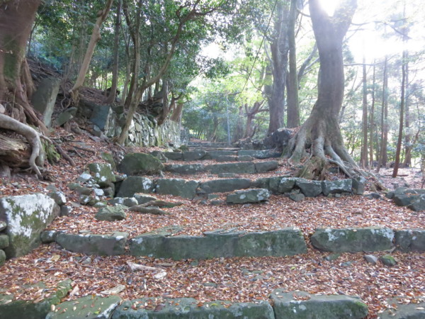 f:id:dantyutei:20141119134042j:plain