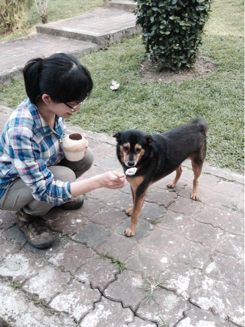 f:id:dantyutei:20150313212930j:plain f:id:dantyutei:20150313212930j:plain