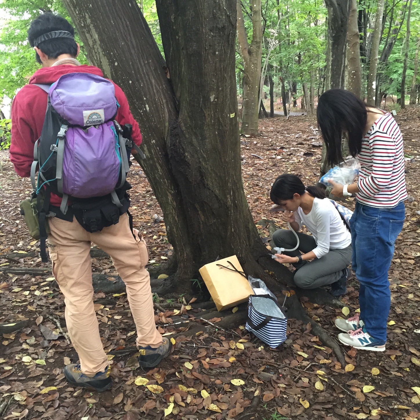 f:id:dantyutei:20150928115022j:image