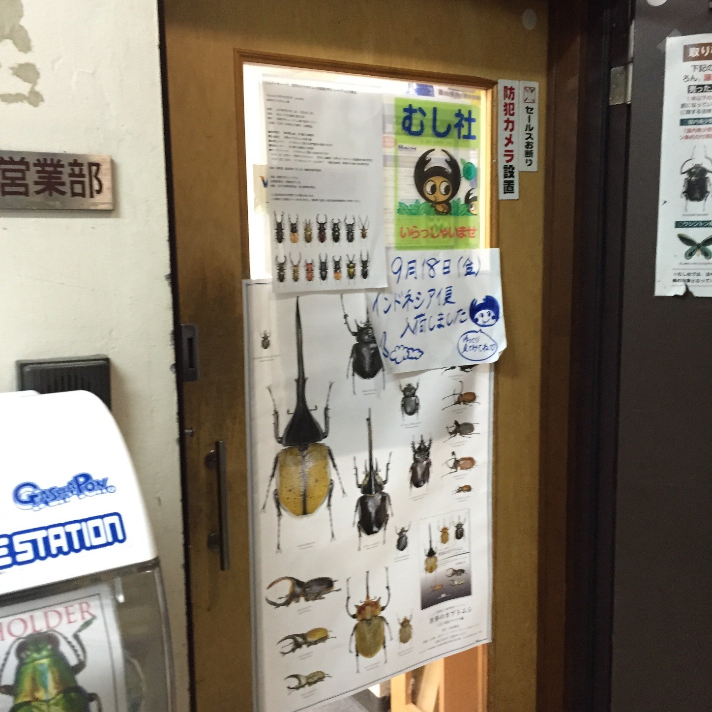 f:id:dantyutei:20150928115046j:image