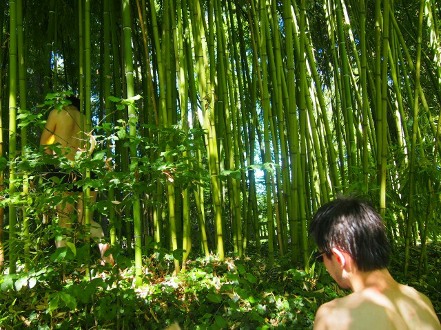 f:id:dawaseur:20160724155630j:image f:id:dawaseur:20160724155630j:image