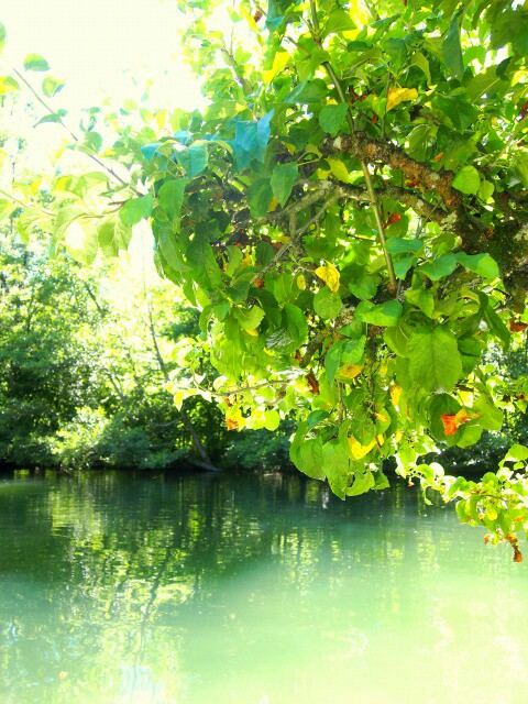 f:id:dawaseur:20160724160549j:image f:id:dawaseur:20160724160549j:image