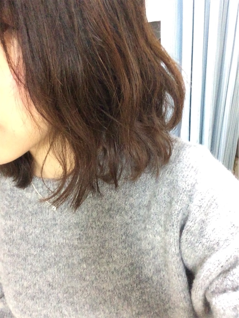 f:id:dayan773:20151116212040j:image f:id:dayan773:20151116212040j:image