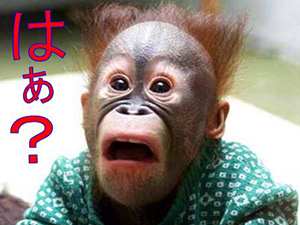 f:id:decobocco:20140409003508j:plain f:id:decobocco:20140409003508j:plain