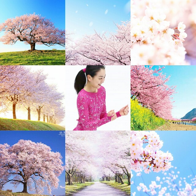f:id:deepedge:20160331083141j:image f:id:deepedge:20160331083141j:image