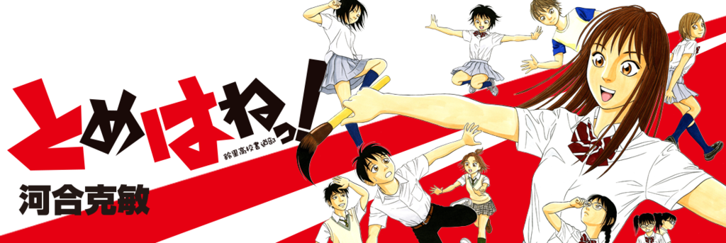 書道漫画「とめはねっ！」全14巻を一気読みした感想→最高じゃねーか 心に火を、指先にペンを