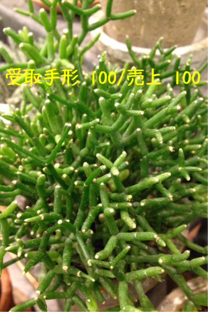 f:id:deichan225:20131113081935j:plain f:id:deichan225:20131113081935j:plain
