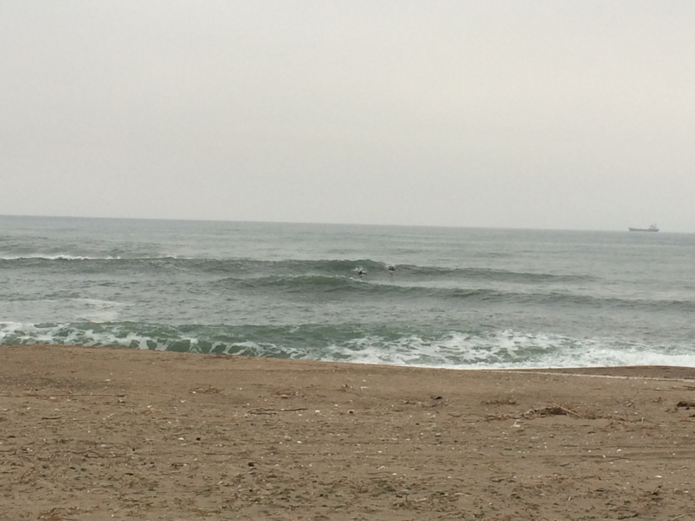 f:id:dejerine:20141111225424j:plain f:id:dejerine:20141111225424j:plain