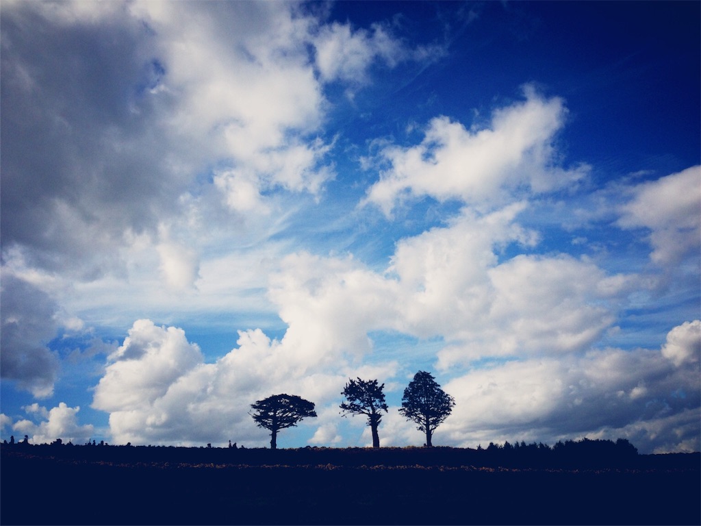 f:id:designfee:20151212170834j:image f:id:designfee:20151212170834j:image