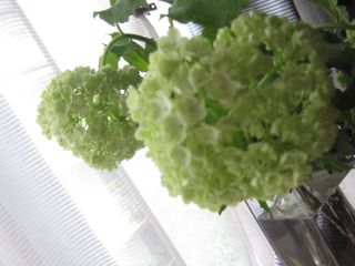 f:id:deux-2:20110523101012j:image:w360