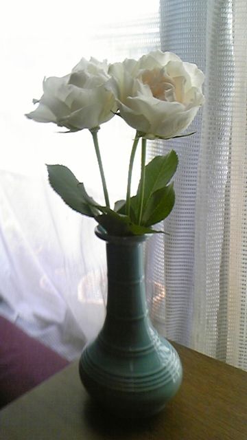f:id:deux-2:20110816131702j:image:w360 f:id:deux-2:20110816131702j:image:w360