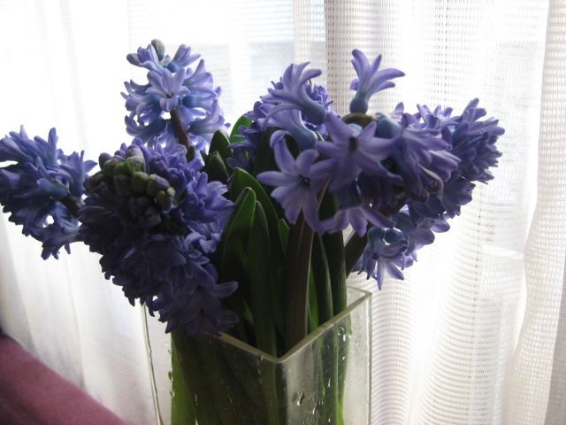 f:id:deux-2:20111209150308j:image:w360 f:id:deux-2:20111209150308j:image:w360