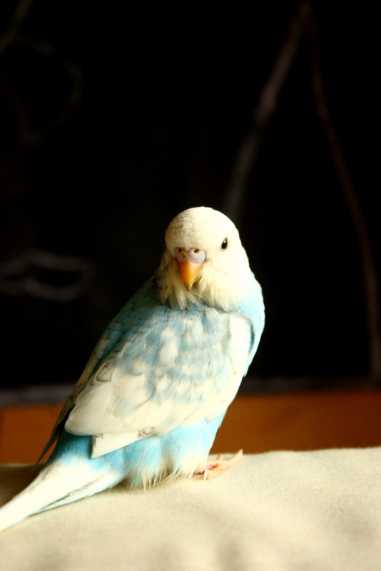 f:id:deux-2:20130108162613j:image:w360 f:id:deux-2:20130108162613j:image:w360