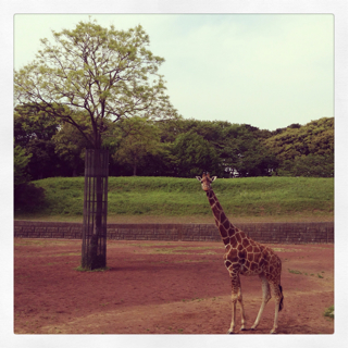 f:id:deux-2:20130429233043j:plain