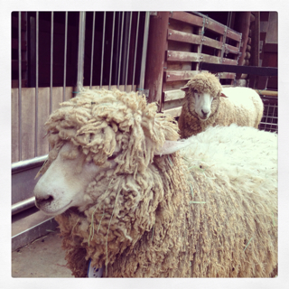 f:id:deux-2:20130429233231j:plain