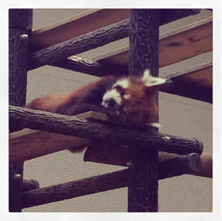 f:id:deux-2:20130429233255j:plain