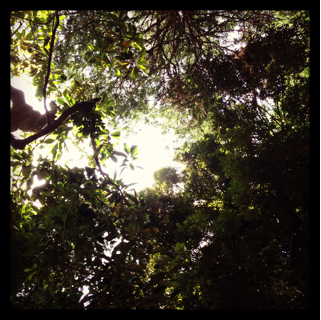 f:id:deux-2:20130603091029j:plain f:id:deux-2:20130603091029j:plain