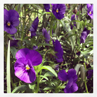 f:id:deux-2:20130606225903j:plain f:id:deux-2:20130606225903j:plain