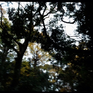 f:id:deux-2:20131208223830j:plain f:id:deux-2:20131208223830j:plain