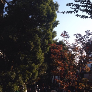 f:id:deux-2:20141020170323j:plain f:id:deux-2:20141020170323j:plain