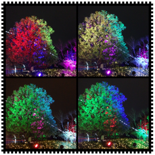 f:id:deux-2:20141119230350j:plain f:id:deux-2:20141119230350j:plain
