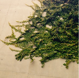 f:id:deux-2:20150327175324j:plain