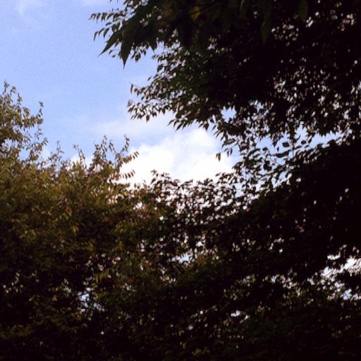 f:id:deux-2:20151005180439j:image