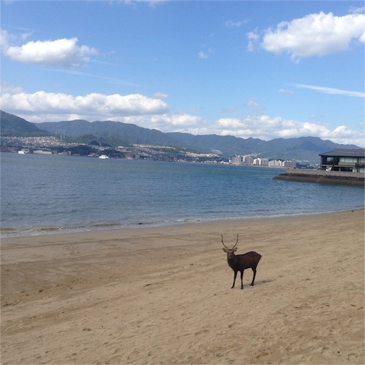 f:id:deux-2:20151013205834j:image f:id:deux-2:20151013205834j:image