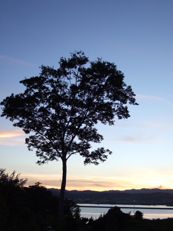 f:id:digistill:20070812235528j:image