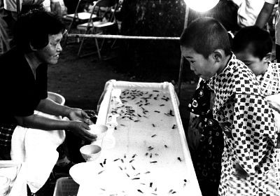 f:id:digistill:20080714225308j:image