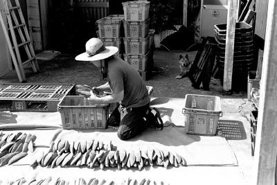 f:id:digistill:20080714225310j:image