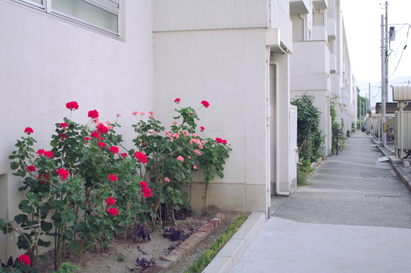 f:id:digistill:20090921153332j:image f:id:digistill:20090921153332j:image