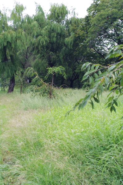 f:id:digistill:20090922160917j:image