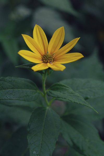 f:id:digistill:20090922161134j:image