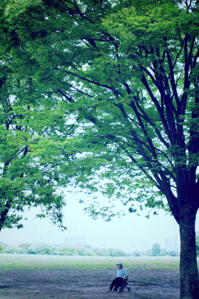 f:id:digistill:20090923165945j:image f:id:digistill:20090923165945j:image