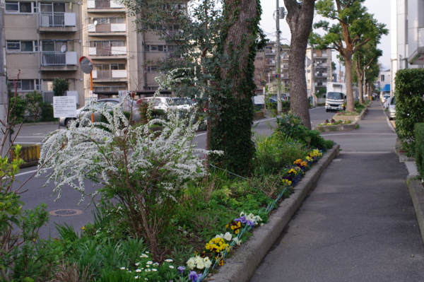 f:id:digistill:20100313171105j:image