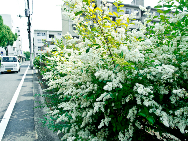 f:id:digistill:20110604222412j:image