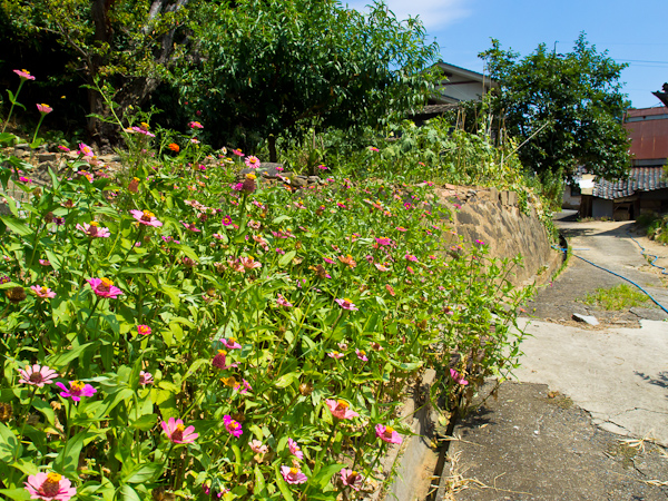 f:id:digistill:20110815001121j:image