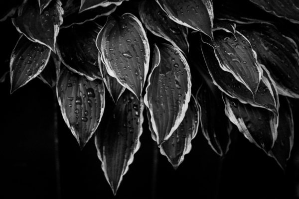 f:id:digistill:20120725215637j:image