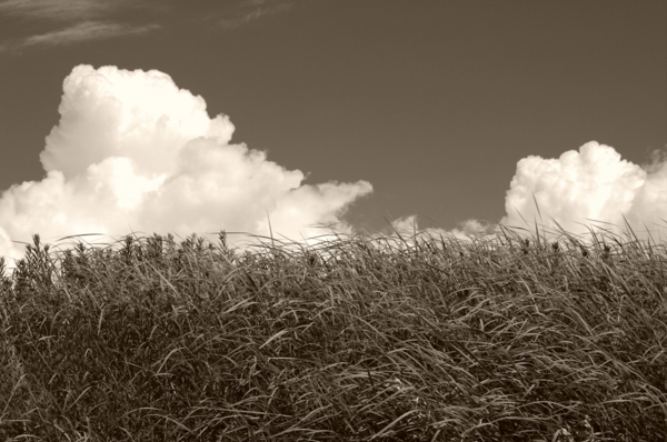 f:id:digistill:20120819235316j:image f:id:digistill:20120819235316j:image