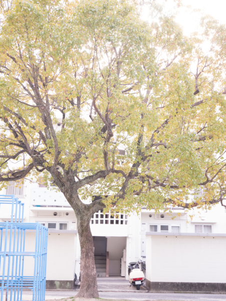 f:id:digistill:20140310224716j:plain