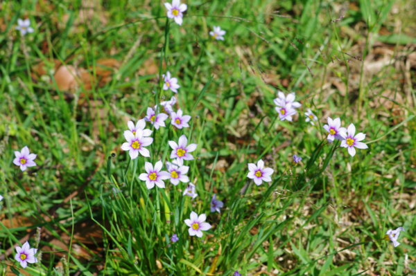 f:id:digistill:20140525230500j:plain