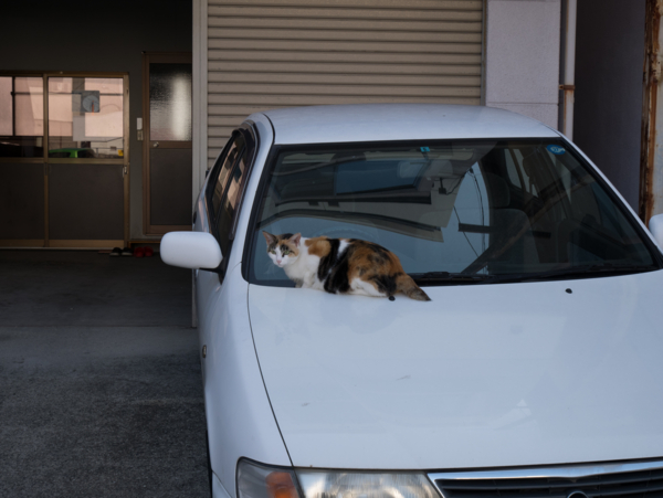 f:id:digistill:20140525231228j:plain