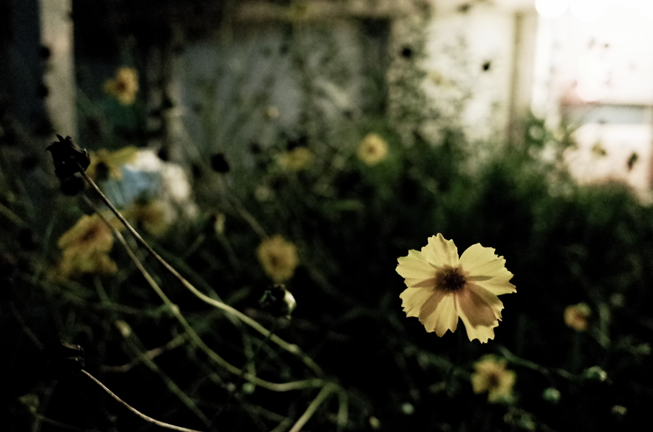 f:id:digistill:20140718230032j:plain