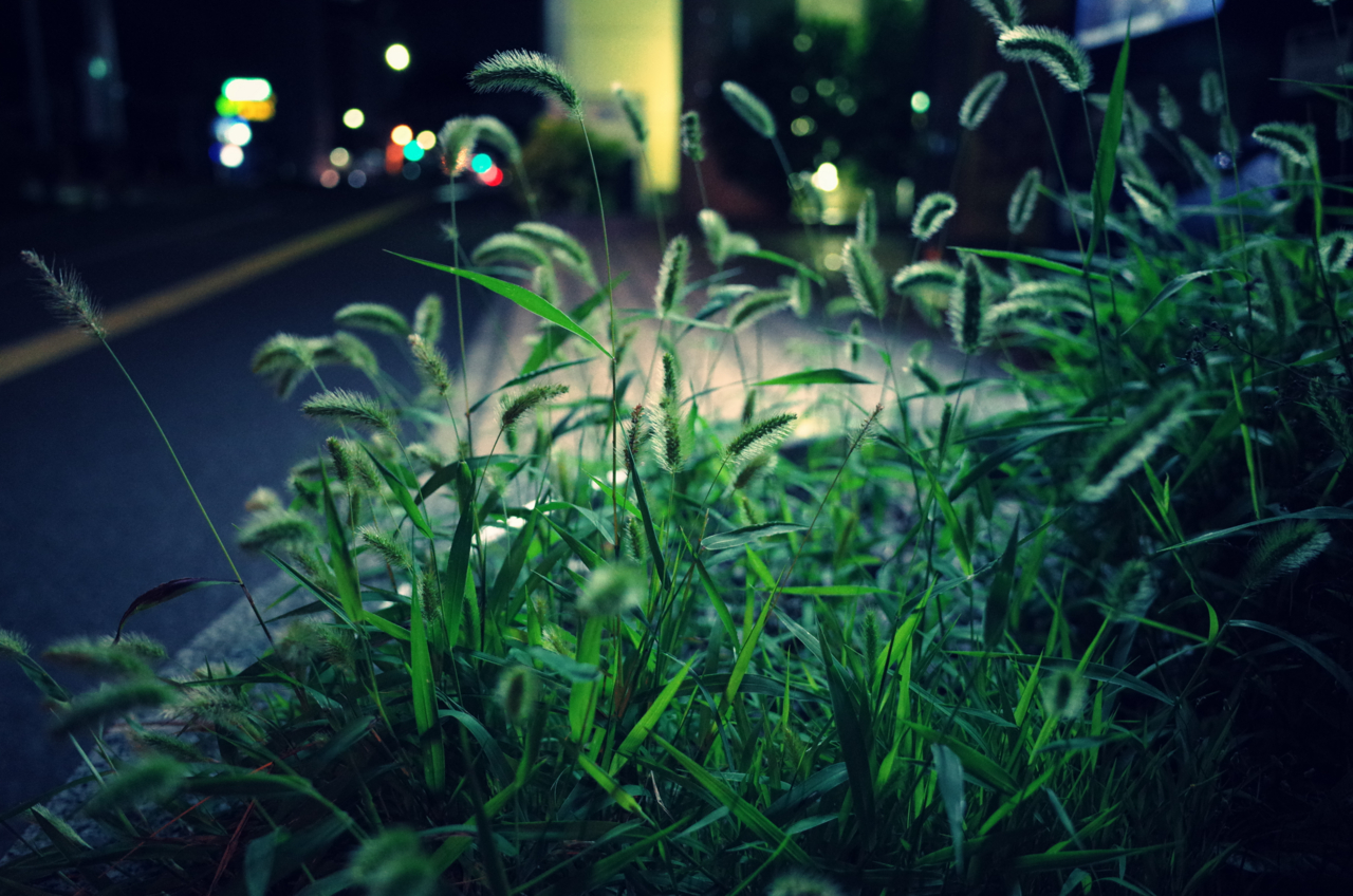 f:id:digistill:20140718230318j:plain